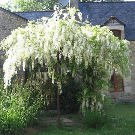 Bed and Breakfast La Guyonnais Quévert Zewnętrze zdjęcie