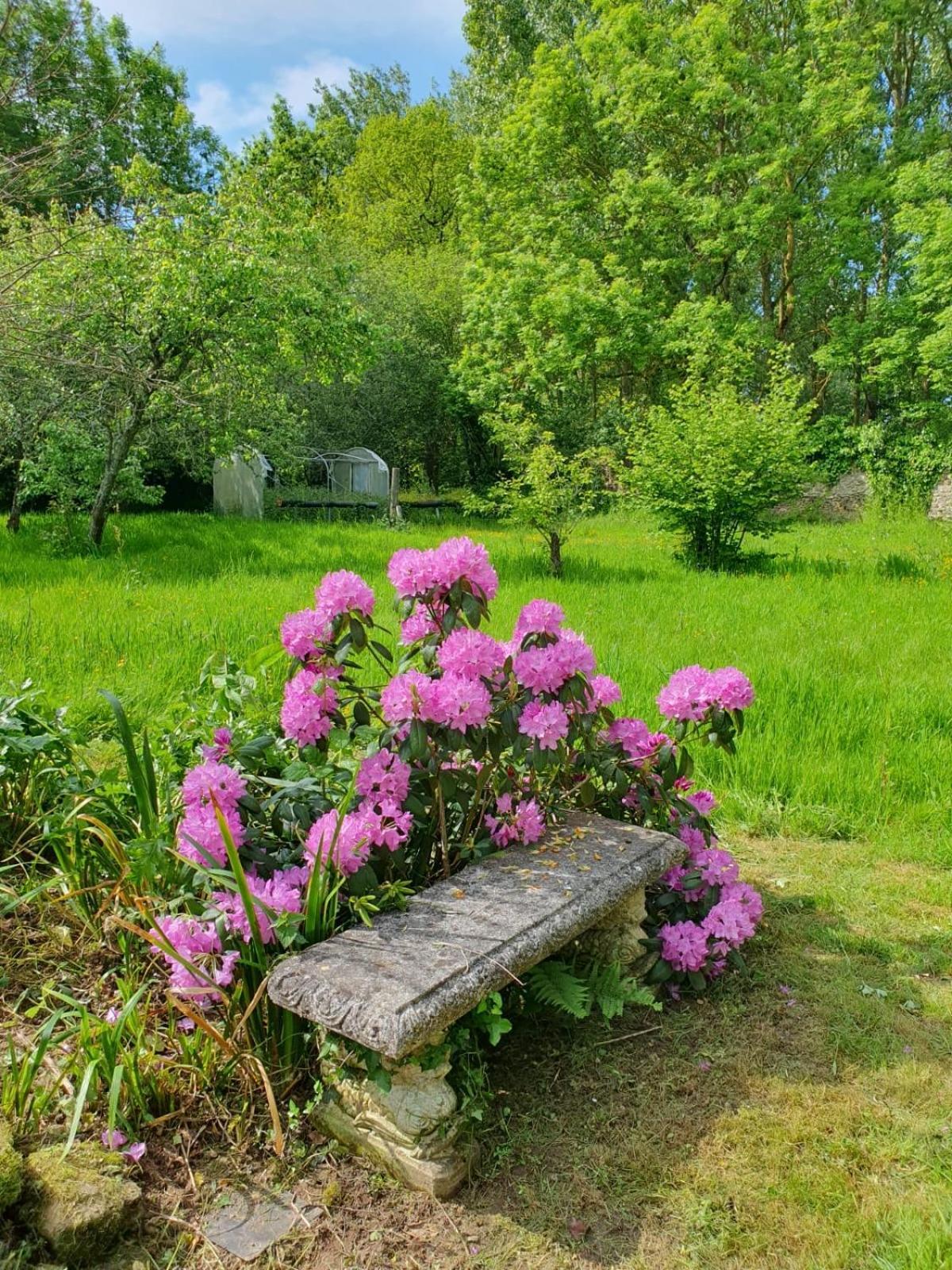 Bed and Breakfast La Guyonnais Quévert Zewnętrze zdjęcie