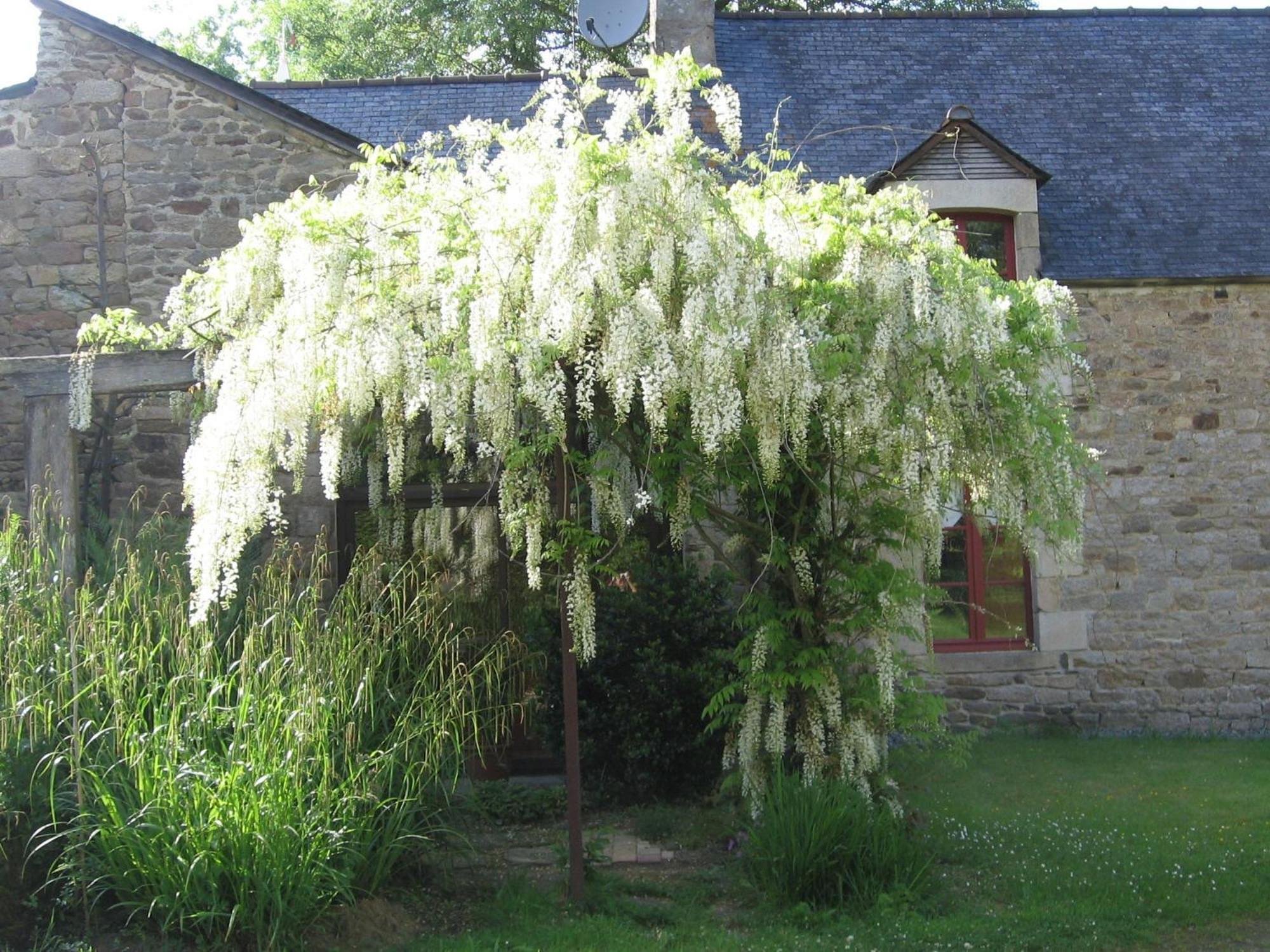 Bed and Breakfast La Guyonnais Quévert Zewnętrze zdjęcie